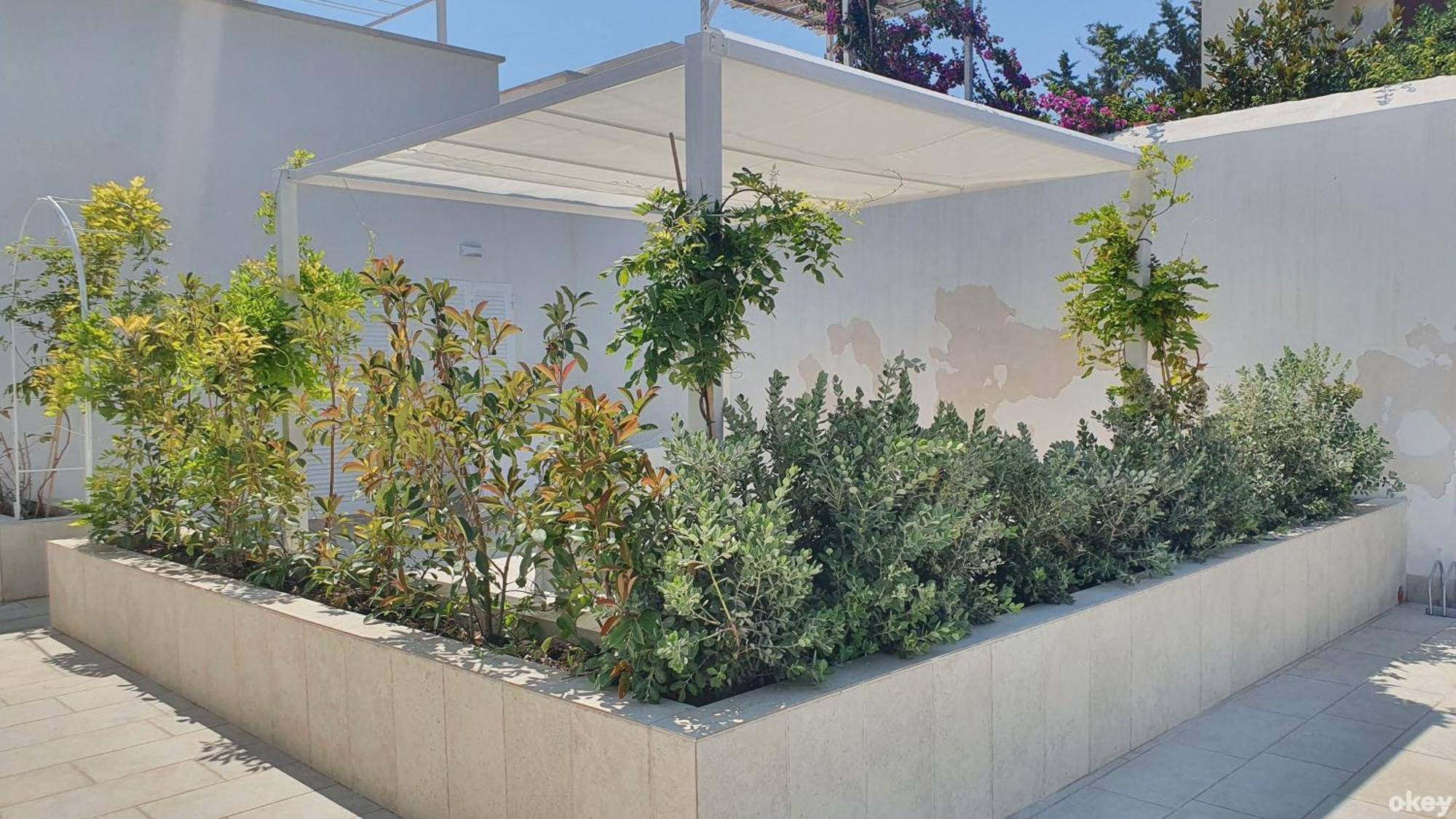 בארי Villa Mediterranea Apartments - Seaview, Pool & Garden מראה חיצוני תמונה